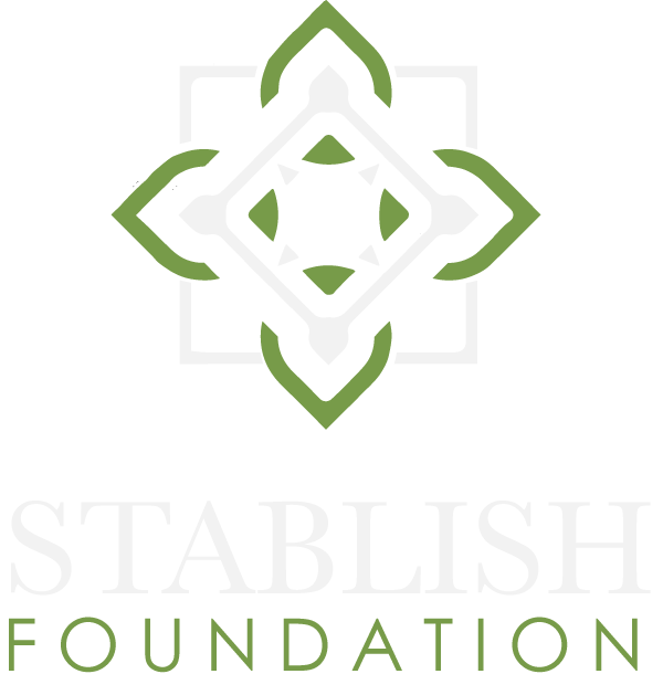 stablish-logo-vertical-reversed