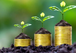 Donor Advised Funds: a Powerful Tool in 2026