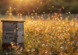 Assisting Communities Through Charitable Giving